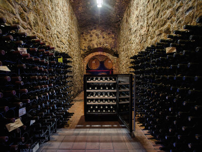 Die modernen Weinkühl- und Temperierschränke gibt es in den unterschiedlichsten Breiten und Höhen.